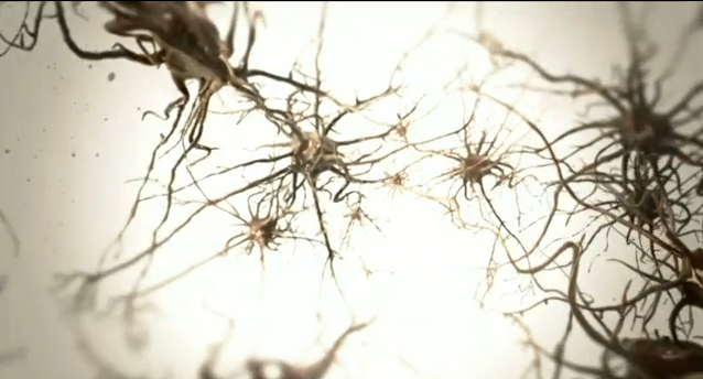 neuron3.png